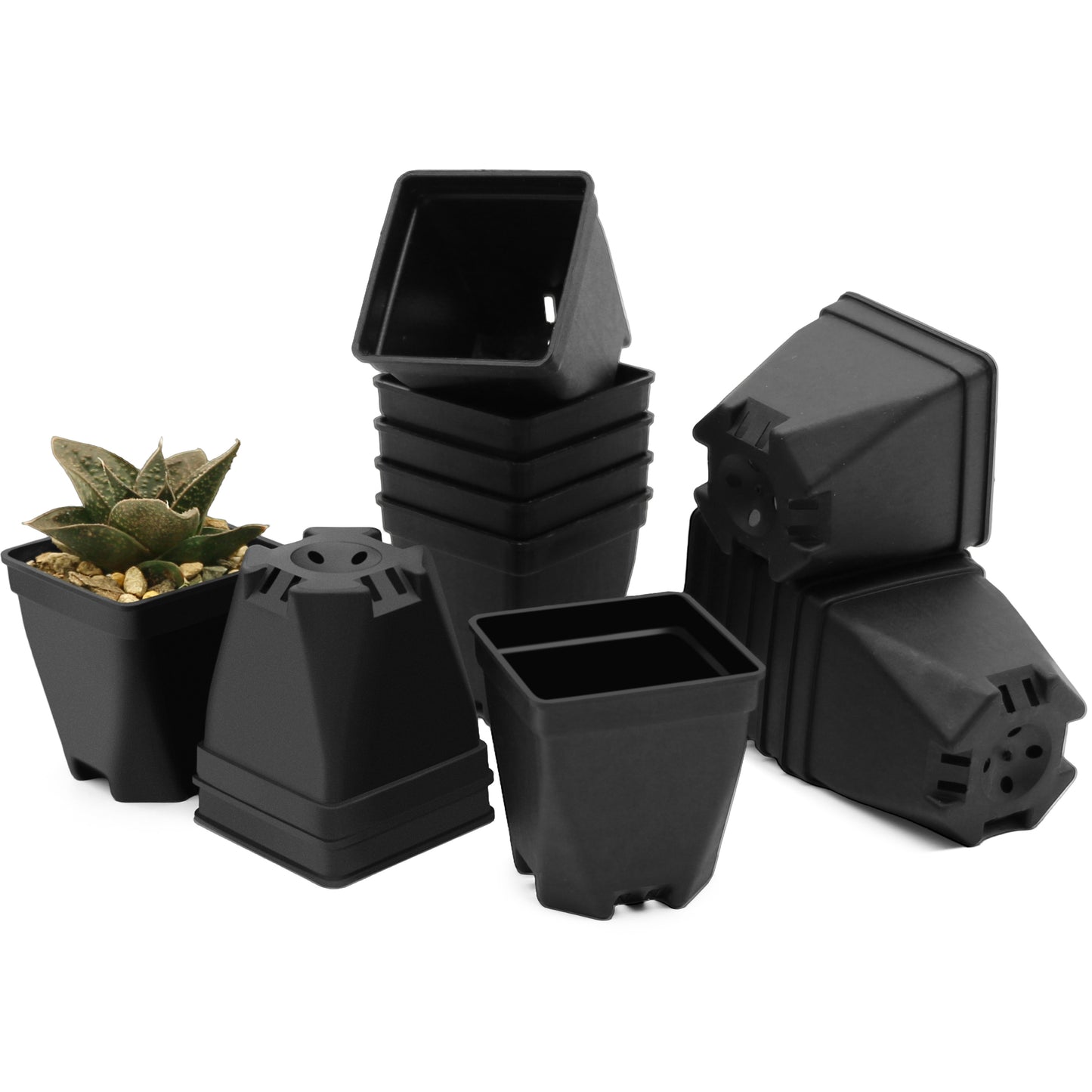 1.5" Mini Plant Pot Thicken Polypropylene 24 PCS for Home, Office, Garden Black