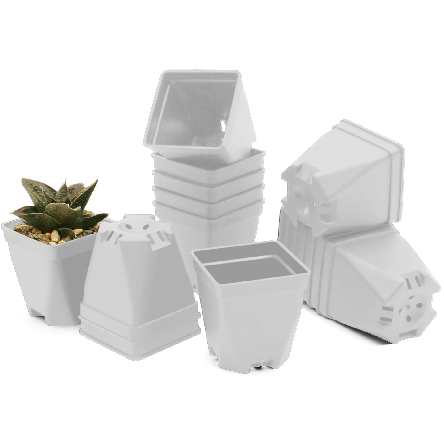 1.5" Mini Plant Pot Thicken Polypropylene 24 PCS for Home, Office, Garden Black